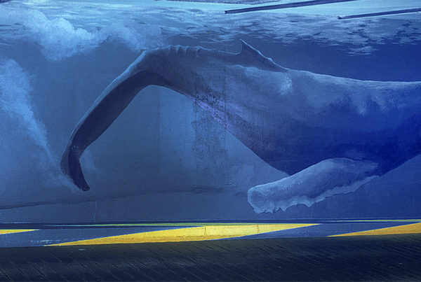 Just Another Agency - Dominique Antony