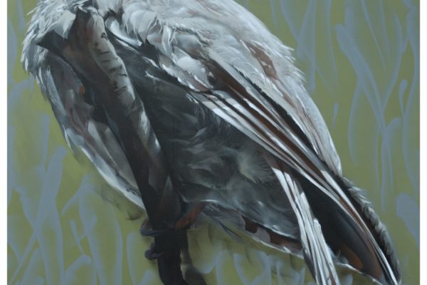 Just Another Agency - Andrew Sirum Bourke