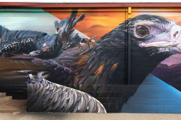 Just Another Agency - Andrew Sirum Bourke