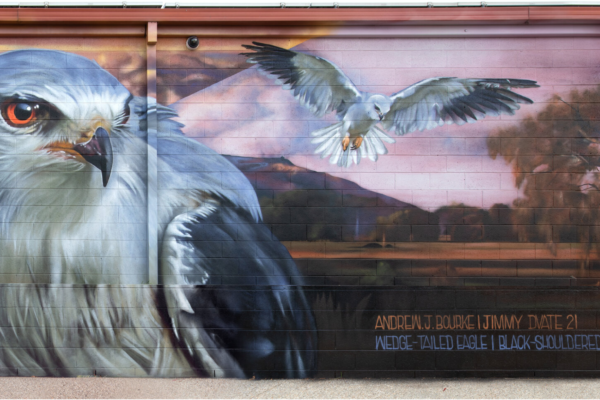 Just Another Agency - Andrew Sirum Bourke