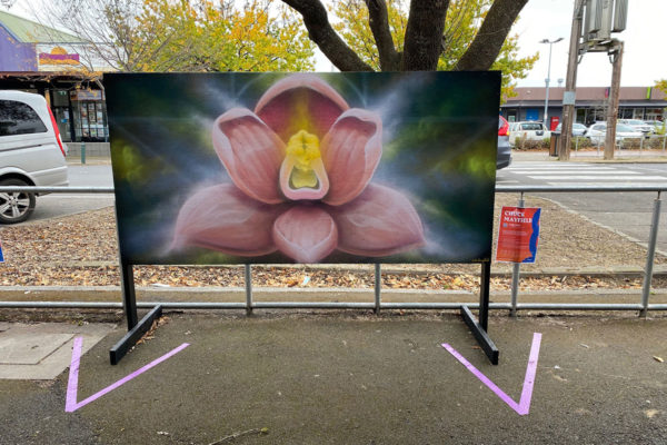 Just Another Agency - Macedon Ranges - Augmented Mural Trail - Chuck Mayfield