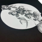 Just Another Agency - Negative Space - Melanie Caple
