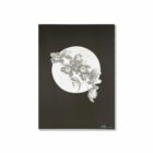 Just Another Agency - Negative Space - Melanie Caple