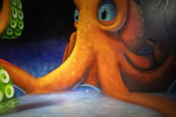 Just Another Agency – The Art Maze - Under the Sea - Karingal Hub - Cax One