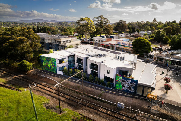 Just Another Agency – New-Natural Murals - Station Street Murals - David Lee Pereira and Amina Briggs