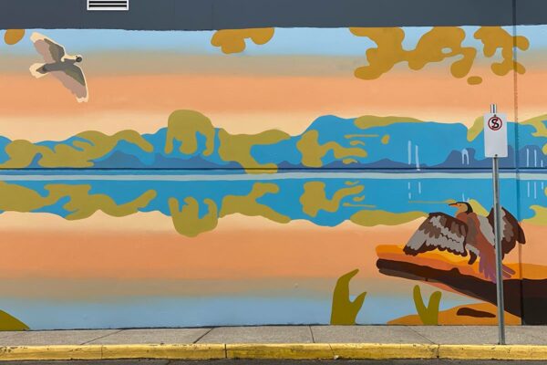 Just-Another-Agency_Veins_Gladstone-Park8
